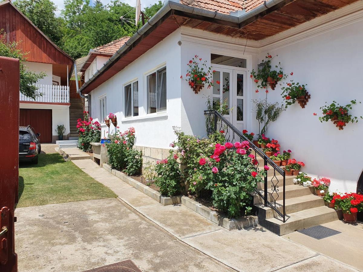 Rozsa Panzio Bed & Breakfast Rimetea Eksteriør bilde