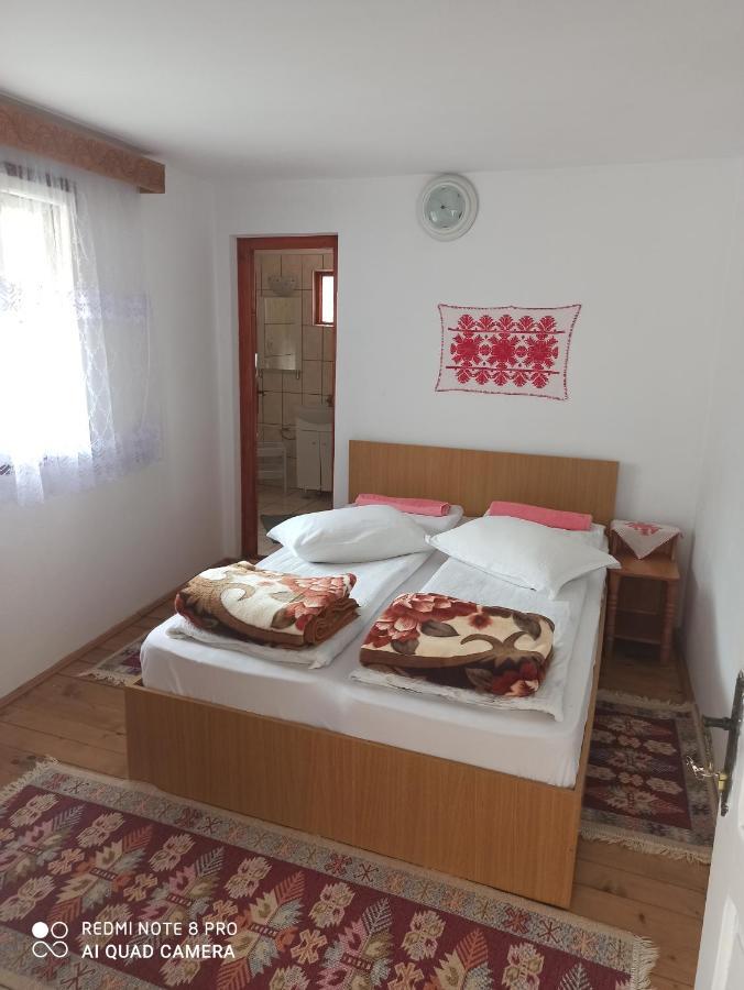Rozsa Panzio Bed & Breakfast Rimetea Eksteriør bilde