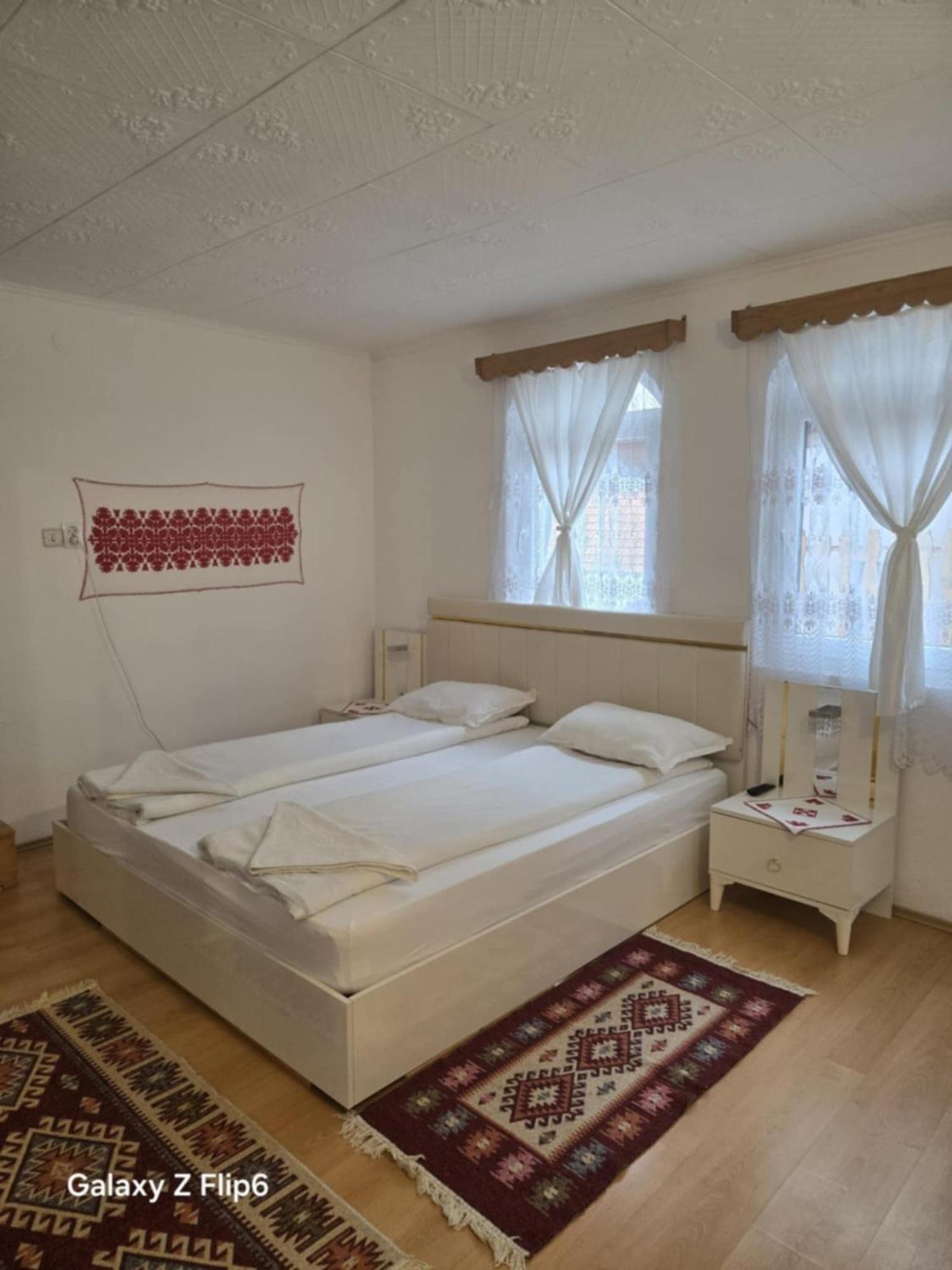 Rozsa Panzio Bed & Breakfast Rimetea Eksteriør bilde